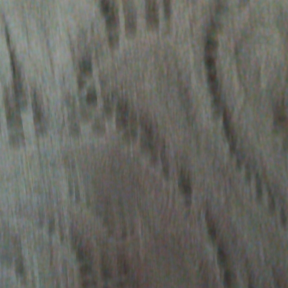 White House Black Market Fitted Black Sleeveless Tank Top - Picture 3 of 4